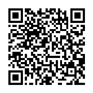 但被逮捕时的那段对白却是远远比不上她在歌唱时的表现二维码生成