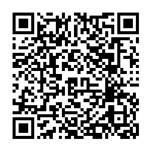 但西班牙这座岛屿发生的一幕幕已经在整个世界范围内引起了巨大的讨论二维码生成