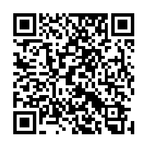 但要去和裴元修斗――我发现自己完全没有可以言胜的把握二维码生成
