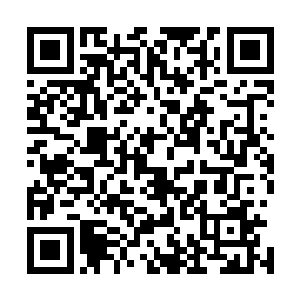 但要她在这种极端的生死关头做出精确的判断和敏捷的反应二维码生成