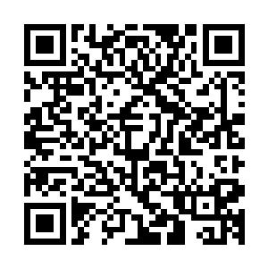 但要说廖辽已经强到了足以跟五行吾素对撼的程度……说实话二维码生成