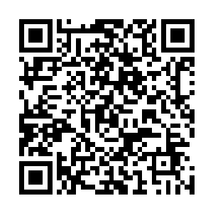 但让他们意外的是――还有小部分是拷问出外域秘籍的改良二维码生成