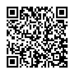 但让我在封印状态下操控着渡边去对付他……也是毫无胜算的二维码生成