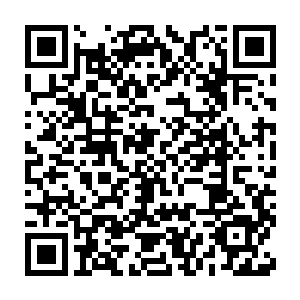 但让禅蛇本尊就皮糙肉厚再加上能力也是纯正单一土属性的小三去试探二维码生成