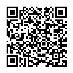 但话语里那淡淡的苦涩却如同午后热咖啡的热气一般缓缓升起二维码生成