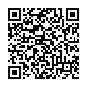 但谁也无法保证黄家会不会为了获得圣王骨架而恩将仇报二维码生成
