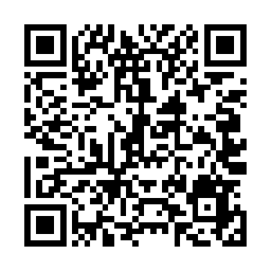 但谢文兴认为现在的谢家已经没必要用这种办法来壮声势了二维码生成
