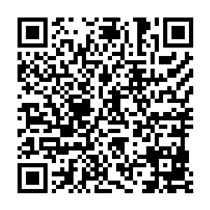 但赤狐直言以自己合体期修士的实力去挑战碧睛鲅鱼一族的渡劫初期二维码生成