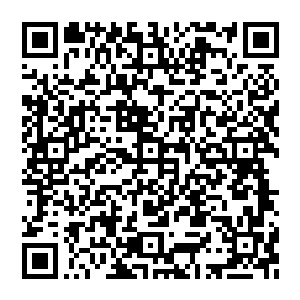 但近古末法年代 大劫降下的意志 便是一命二运三风水 唯有这三种力量汇聚到一起的时候 才会打开两界封印二维码生成