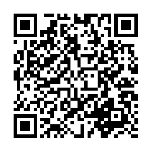 但还是为雷林通过芯片模拟演算出来的一些设想拍案惊奇二维码生成