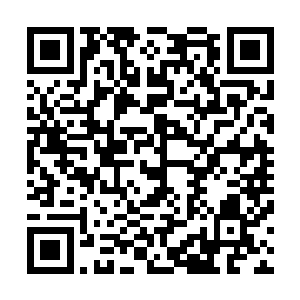 但还是麻溜的从戒指中取出之前从药园里刨出来的几罐药酒二维码生成