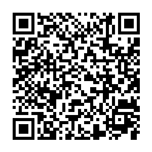 但这不代表琴瑟色可以容忍本身就蠢的绿竹因为太过激动又出什么毛病二维码生成