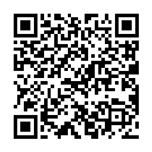 但这个实力几乎已经没有什么对手了……可若是跨不去二维码生成