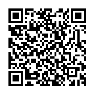 但这个群体又是由许多利益不完全一致的更小的群体纠合而成二维码生成