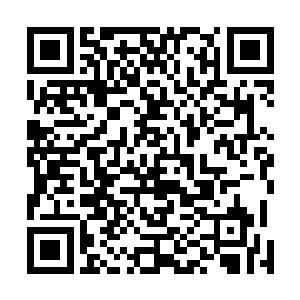 但这么一群……我想就算是变异巨鳄也挡不住它们吧……二维码生成