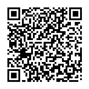 但这么多商铺加上宇文长老那弄来的商铺基本在整个蒙城地区建成了商业网络二维码生成
