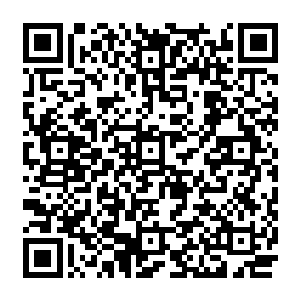 但这些打捞船最怕的就是在打捞的时候碰上鲸鱼这样的大家伙……一旦不小心网到了它二维码生成