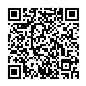但这几乎通用的外形却让妮娜立刻认出了里面的东西的真面目二维码生成
