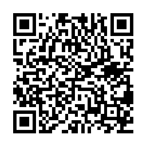 但这十二株常青树是从文昌塔动工之时便已经移栽到这里来的二维码生成