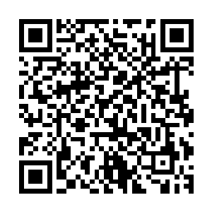 但这却是愤怒按照预估中刑天在目前情况下最强实力所推算的二维码生成