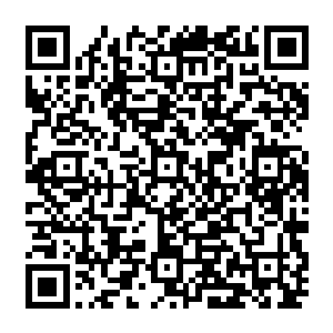 但这家伙估计是忘了因为前些天宣传世子手机智能系统跟全民来编程这款软件的需要二维码生成