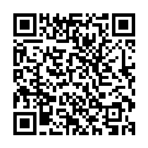 但这并不代表赫拉迪姆魔法议会就会因此忽略楚旬等人的功绩二维码生成