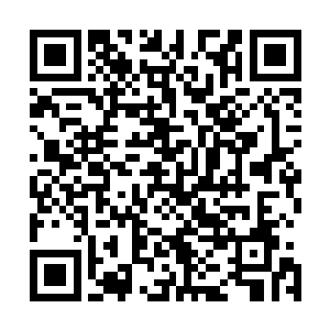 但这并不妨碍将对那个世界小皇帝的怨念算在这个皇帝身上二维码生成