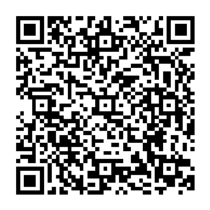 但这放在妖族 也许妖族也是如此 但放在这老猴子与圣皇子眼中 好像浑然不在意一般二维码生成