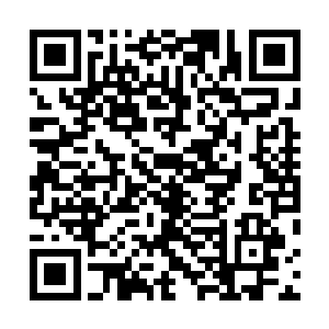 但这时候小丫头望着他的眼神俨然已经变成了敬佩与仰慕二维码生成