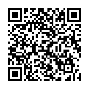 但这时间的倒流却在张潇晗雨佛君双手的牵连中联系到一起二维码生成