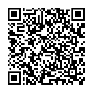 但这样掉下去就能淹死人的河流实在不适合妮娜学的这种自然而野性捕鱼二维码生成