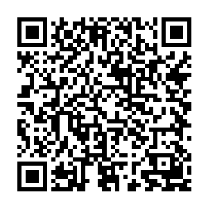 但这次――在欢喜哥遇到生死危险的时候――毒刺鱼毫不犹豫的出击了二维码生成