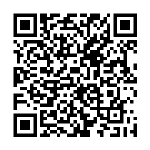 但这点痛苦和她身体上承受的巨大折磨完全不是就是小儿科二维码生成