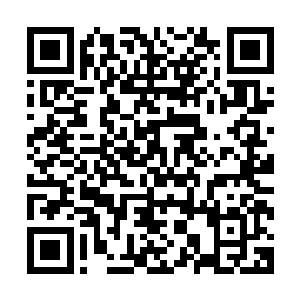 但这种程度的危机感仔细掐诀还是能感觉到些……却完全一片二维码生成