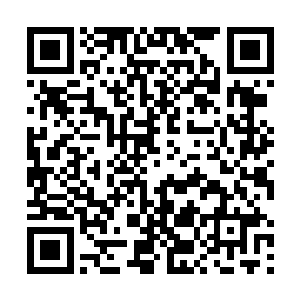 但连家也的确没有人会因为这样的事特地去指责教训她二维码生成