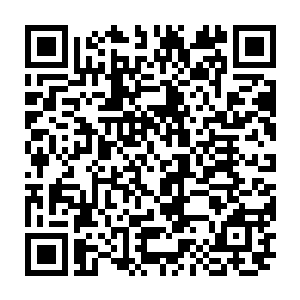 但连那乌龟自己恐怕都不知道为何这一部分阴间分离出去了会变成现在这模样二维码生成