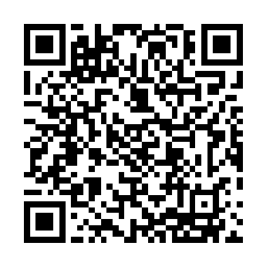 但遇到大圆满实力的眼前这几位……苏落就只有哭的份了二维码生成