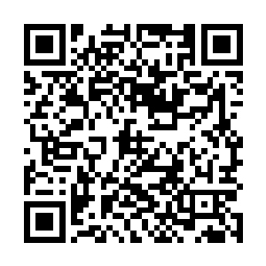 但那一抹隐藏在眼神深处的漠然还是被他敏锐的捕捉到二维码生成