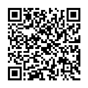 但那不过都是王振科把你们制作成傀儡的一种手段而已二维码生成