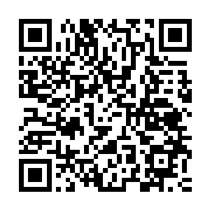 但那个守卫这会儿正卧在距离木门数米远的一张吊床里呼呼大睡二维码生成