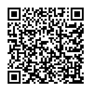 但那些源源不断缠绕而来的藤蔓却还是在一定程度上减慢了宇宙大帝的速度二维码生成