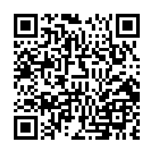 但那双本该纷嫩红润的唇上却布满了被咬过的红痕和残皮二维码生成