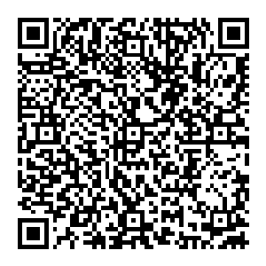 但那大包不是一直如此 而是在缓缓的缩小 虽然速度非常慢 但还是能够察觉到 每一次眨眼 似乎都缩小了一圈二维码生成