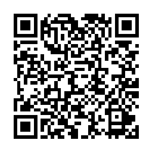 但那缕熟悉的感觉在这片死亡之地却无比的强烈和清晰二维码生成