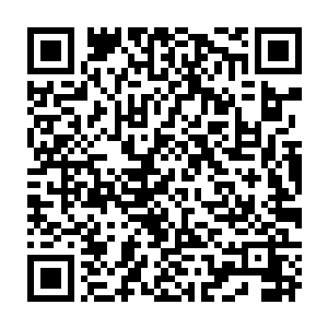 但那羽冠男子颐指气使的态度和不将自己放在眼中的语气却让杨开心头火气二维码生成