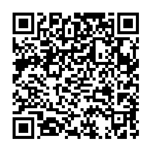 但长期食用由ZJ35栽培出的果实却会对人体的免疫系统造成较大伤害二维码生成