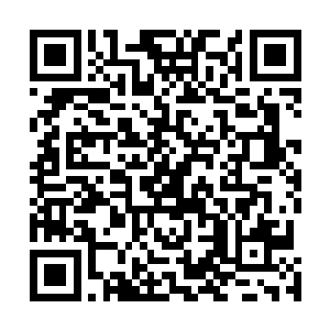 但问题是许正业他们四位师兄完全没有礼让小师弟的意思二维码生成