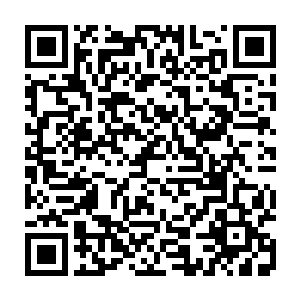 但随即秦方就忍不住倒抽了一口气的……他的胳膊似乎被什么东西咬中了二维码生成