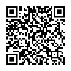但雨果的视线依旧没有办法从那巨大的覆盆子身上转移开来二维码生成
