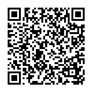 但雷林可是见到过对方硬生生将几个敌人的头颅直接捏爆了的彪悍表现二维码生成